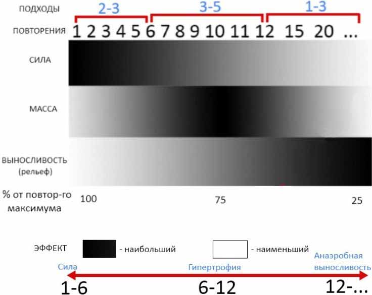Как определить сколько подходов сделать за тренировку Как определить сколько подходов сделать за тренировку
