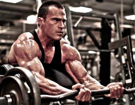 Базовые и изолирующие упражнения