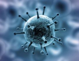 Всё о коронавирусе