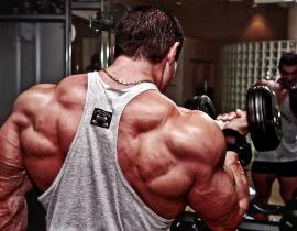 Как часто нужно менять программу тренировок