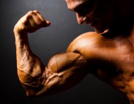 Какие бывают пептиды