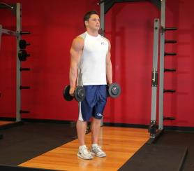 Сгибание рук в локтевом суставе с гантелями хватом «молот»