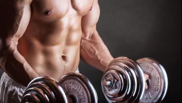 Программа тренировок для эктоморфа