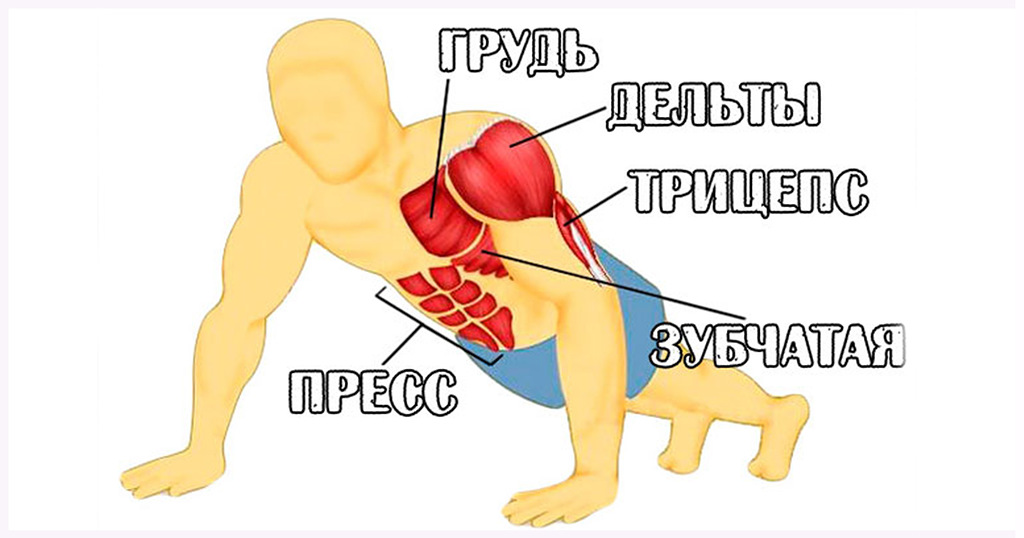 Отжимания на разные группы мышц картинки