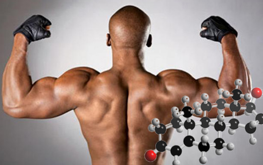 мужской гормон тестостерон