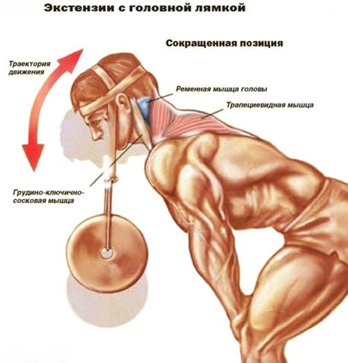 головная лямка для тренировки шеи