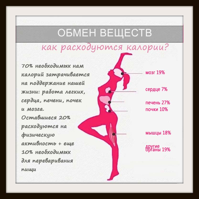куда расходуются калории