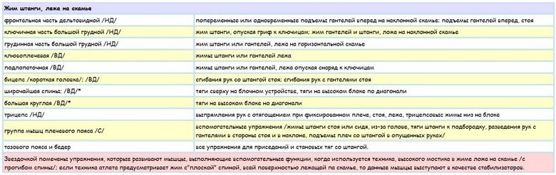 Мышцы, задействованные при жиме лежа