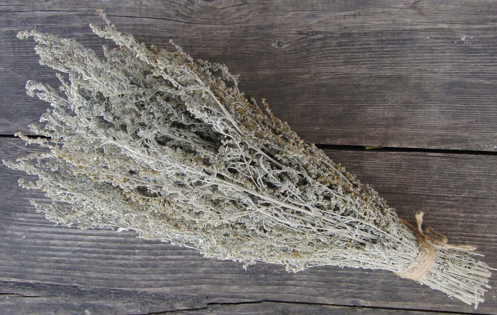 полынь для похудения