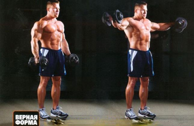 разведение рук с гантелями