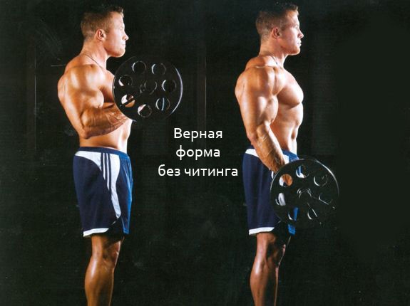 Сгибание рук с гантелями