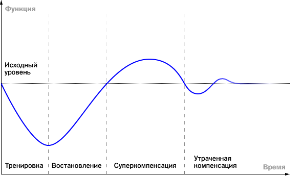 суперкомпенсация и её утеря