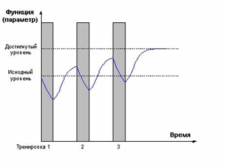 суперкомпенсация