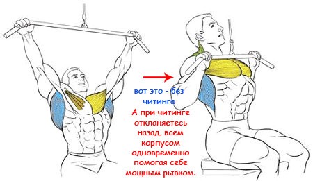 тяга блока к груди читинг