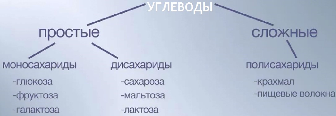 Что такое углеводы в продуктах питания